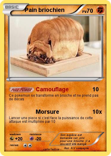 Pokemon Pain briochien