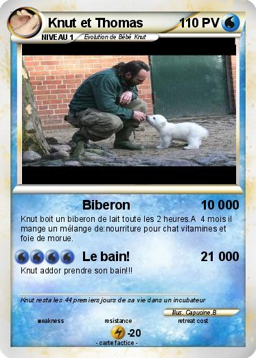 Pokemon Knut et Thomas