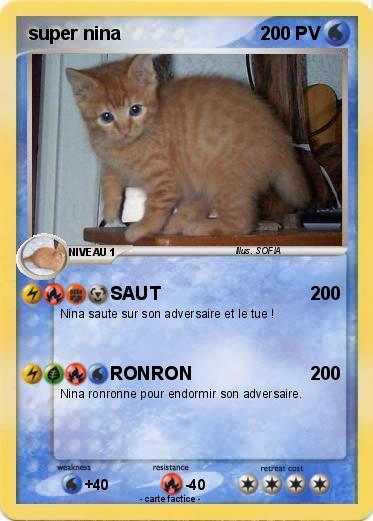 Pokemon super nina