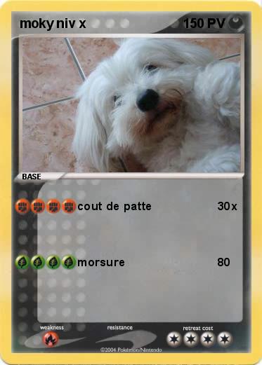 Pokemon moky niv x