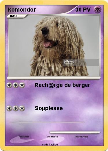 Pokemon komondor