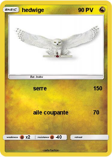 Pokemon hedwige