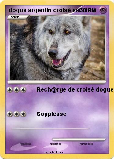 Pokemon dogue argentin croisé est choµ