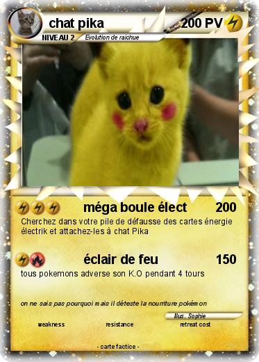 Pokemon chat pika