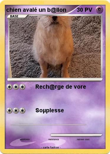 Pokemon chien avalé un b@llon
