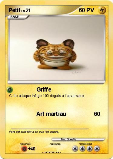 Pokemon Petit