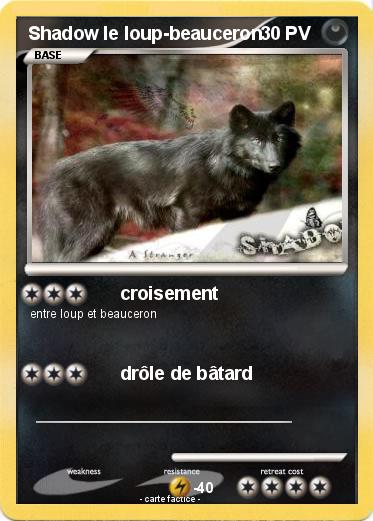 Pokemon Shadow le loup-beauceron