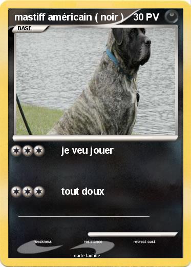 Pokemon mastiff américain ( noir )