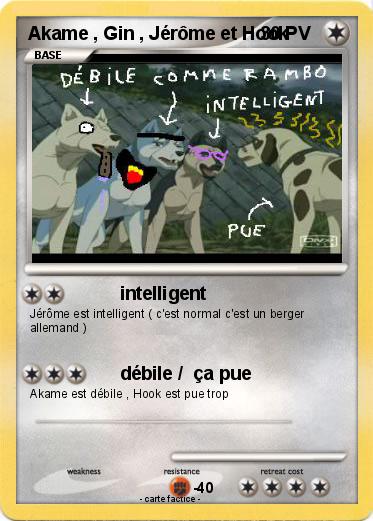 Pokemon Akame , Gin , Jérôme et Hook