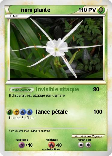 Pokemon mini plante