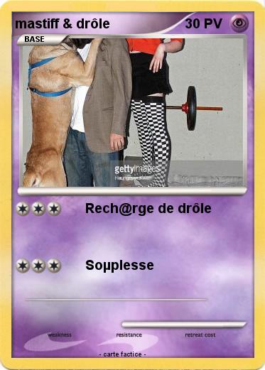 Pokemon mastiff & drôle