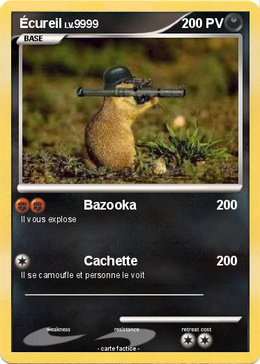 Pokemon Écureil