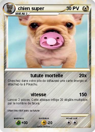 Pokemon chien super