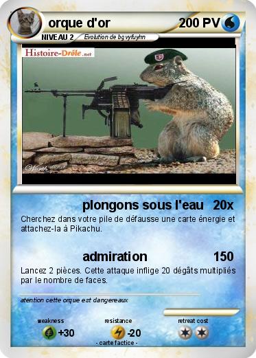 Pokemon orque d'or