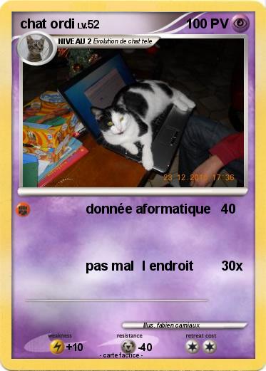 Pokemon chat ordi