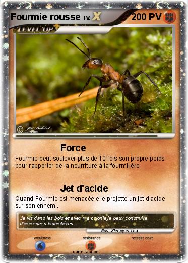 Pokemon Fourmie rousse