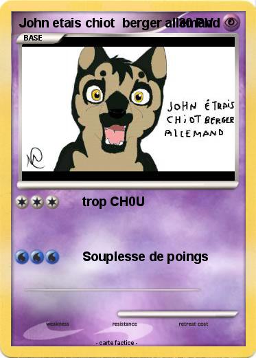Pokemon John etais chiot  berger allemand