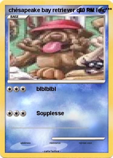 Pokemon chésapeake bay retriever qui fait le c***