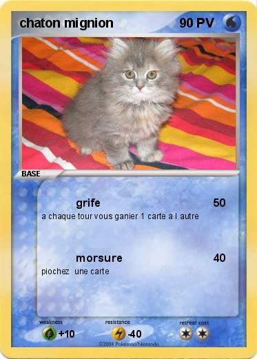 Pokemon chaton mignion