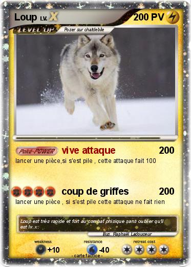 Pokemon Loup
