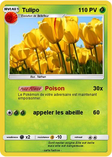 Pokemon Tulipo