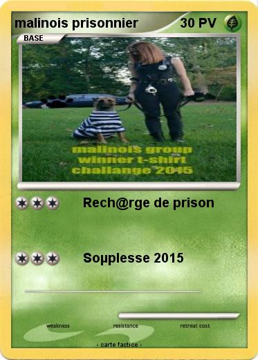 Pokemon malinois prisonnier