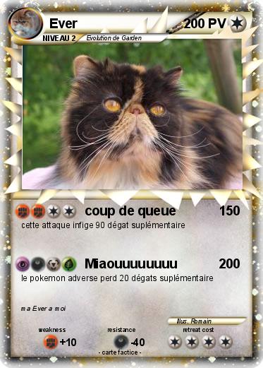 Pokemon Ever