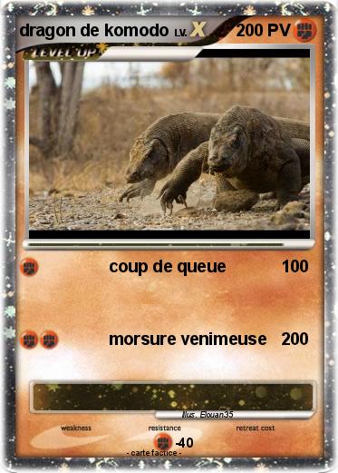 Pokemon dragon de komodo