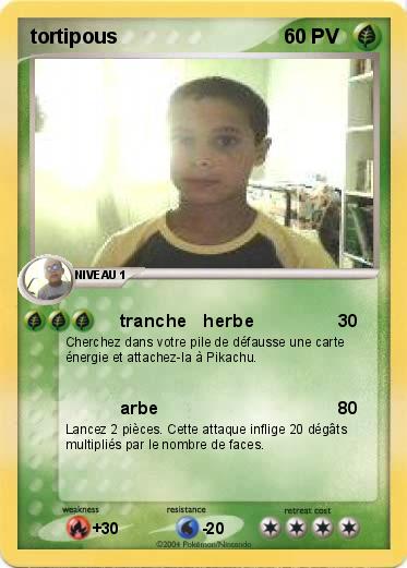 Pokemon tortipous
