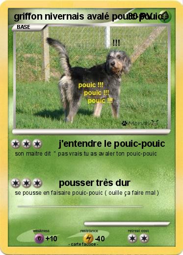 Pokemon griffon nivernais avalé pouic-pouic