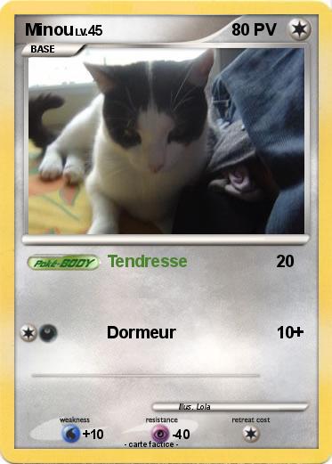 Pokemon Minou