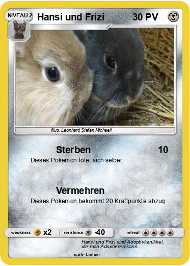 Pokemon Hansi und Frizi