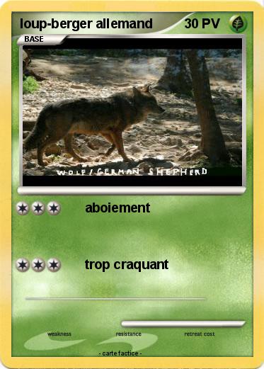 Pokemon loup-berger allemand