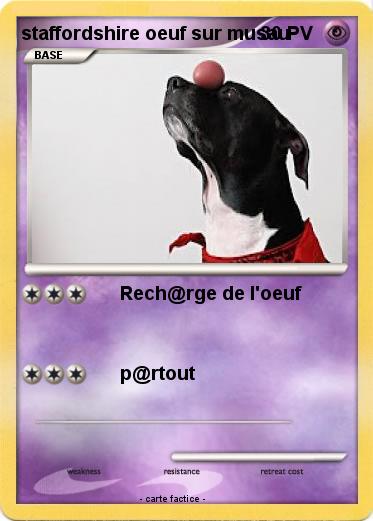 Pokemon staffordshire oeuf sur musau