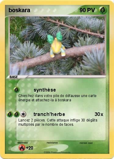 Pokemon boskara