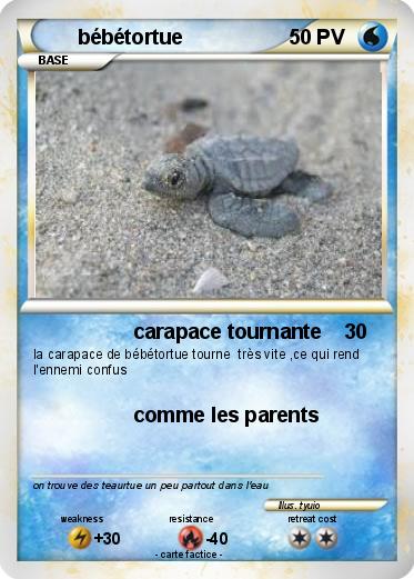 Pokemon bébétortue