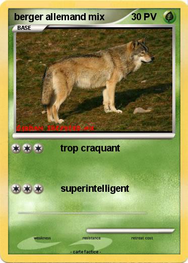 Pokemon berger allemand mix