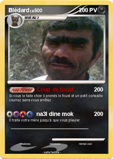 Pokemon Blédard