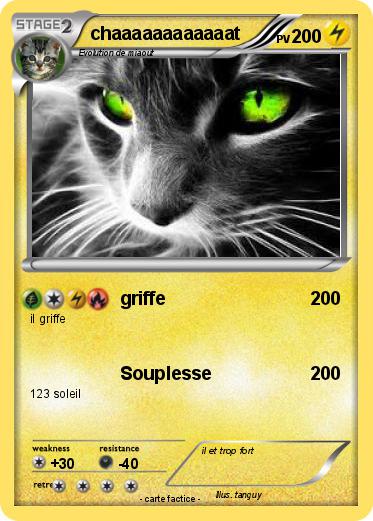 Pokemon chaaaaaaaaaaaat