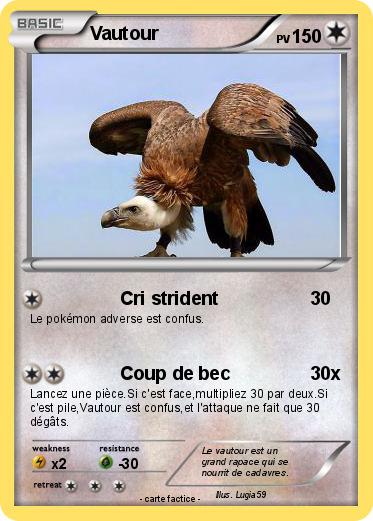 Pokemon Vautour