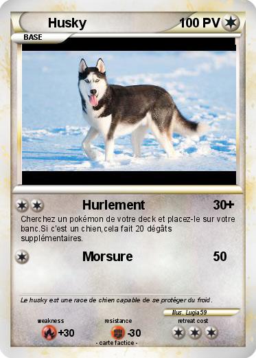 Pokemon Husky