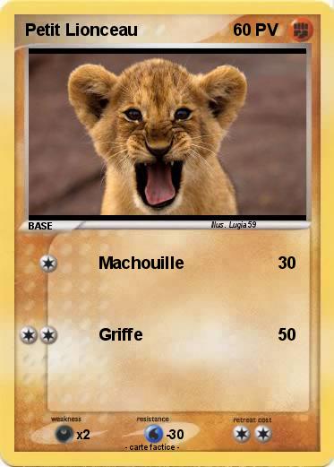 Pokemon Petit Lionceau