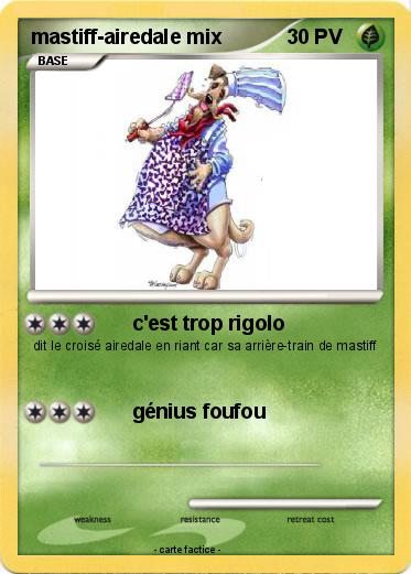 Pokemon mastiff-airedale mix