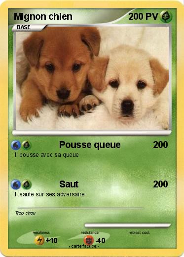 Pokemon Mignon chien