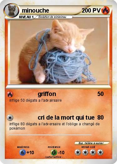 Pokemon minouche