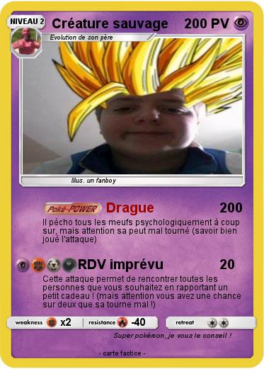 Pokemon Créature sauvage