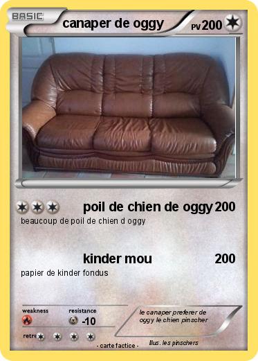 Pokemon canaper de oggy