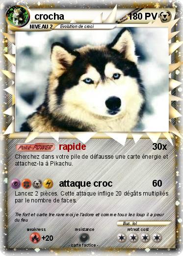 Pokemon crocha