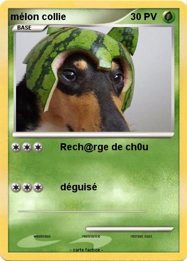 Pokemon mélon collie