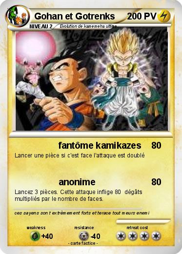 Pokemon Gohan et Gotrenks